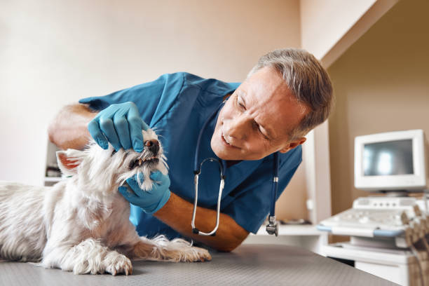Best After-Hours Emergency Dentist in Gate City, VA